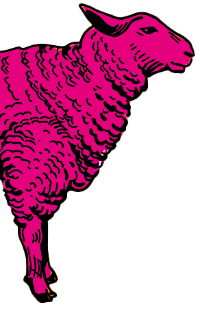Illustration von Schaf angeschnitten, Schwarze Konturen, rosa Füllfarbe